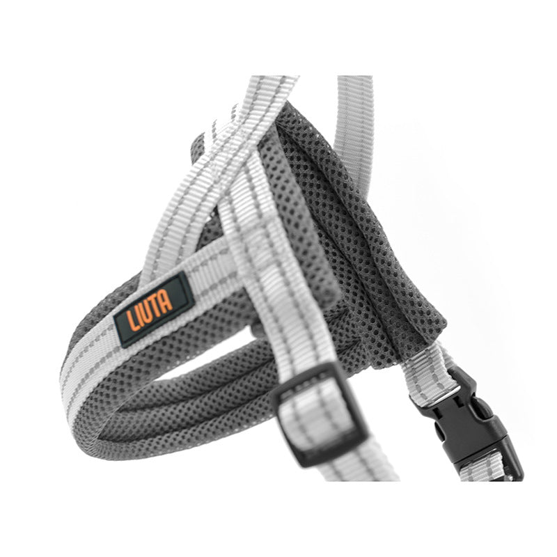 Dog Harness