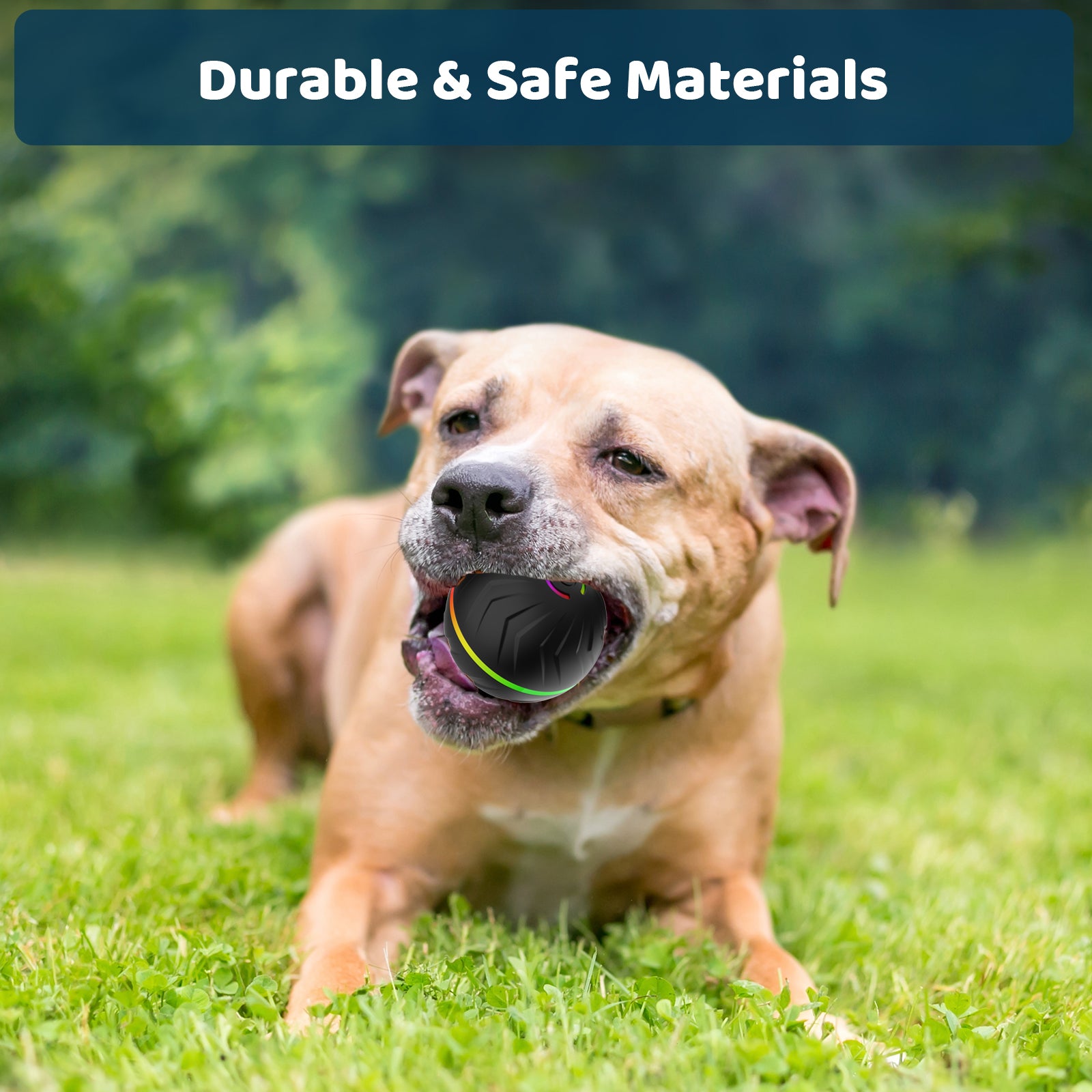 CW Smart Bouncing Ball for Dogs Interactive Toy main pictures-19