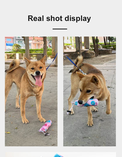 Dog Dental Care Sandbag Toy publicity picture-14