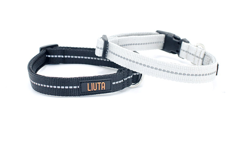 reflective dog collar small medium publicity pic-2